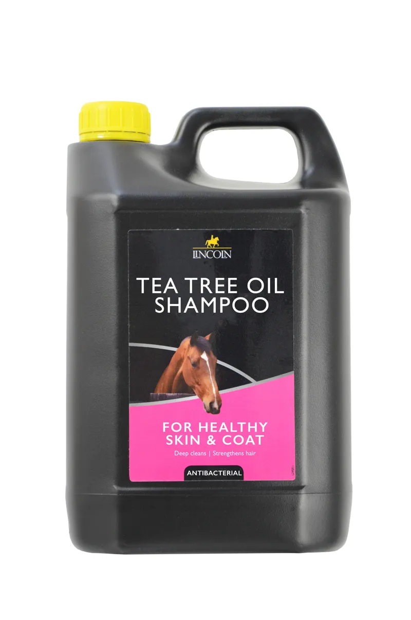 Lincoln Tea Tree Oil Shampoo-1